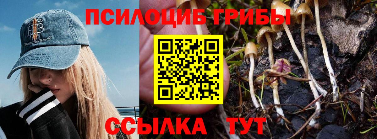 Орехово-Зуево  Псилоцибиновые грибы ЛСД  Галлюциногенные грибы Cubensis  Вход с VPN 